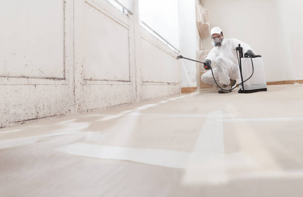 24/7 Emergency Mold Testing experts in Barnesville, GA